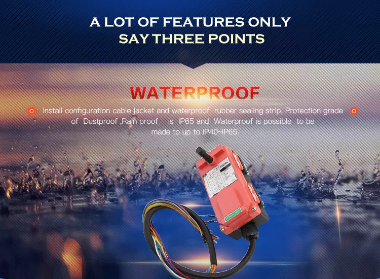 product description01