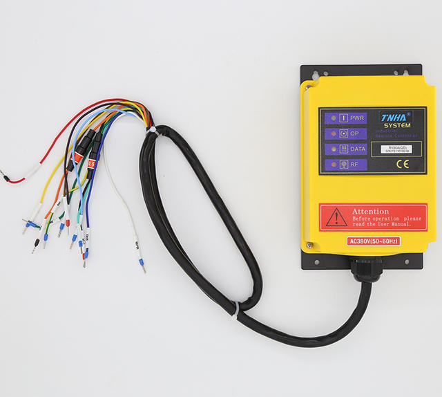 TNHA1-B100AB Truck Mounted Mobile Crane Electric Hoist 